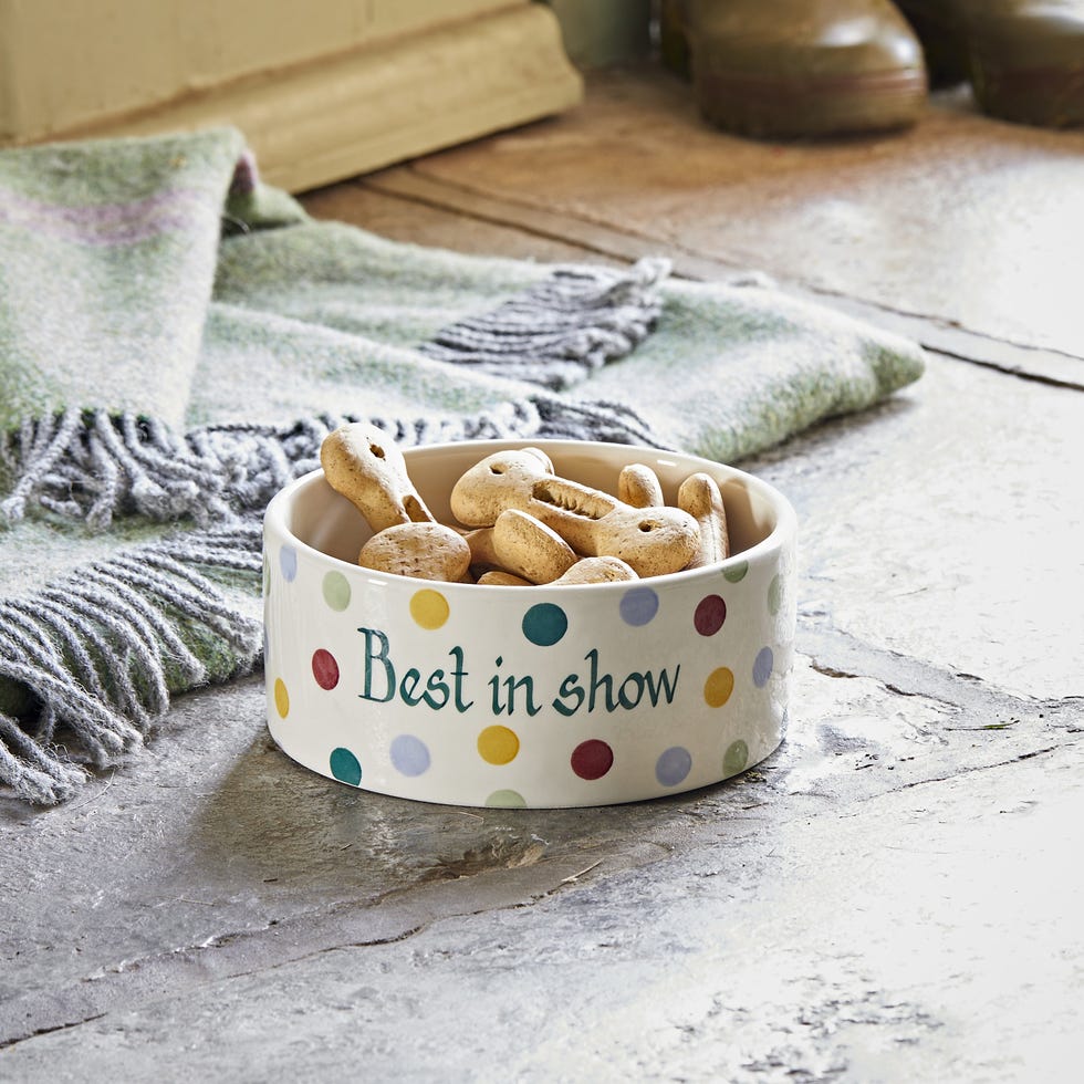 Personalized large pet bowl with polka dots