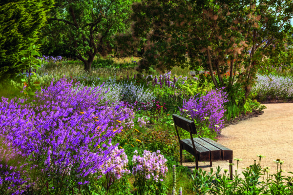 Rip it up and start again: RHS Wisley's daring reinvention of one of its most famous plantings