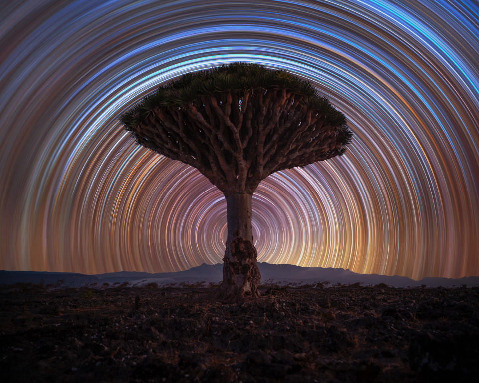 The star spiral creates hundreds of circles around a tree in a time-lapse night image