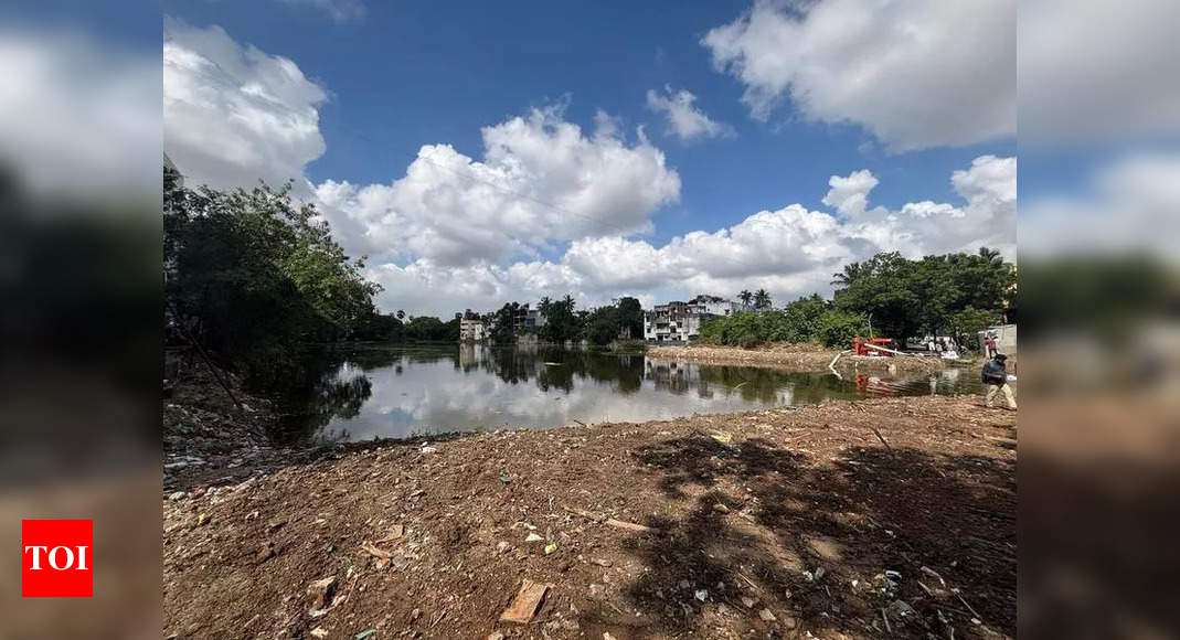 Abandoned plot turns into a pond in Virugambakkam | Chennai News