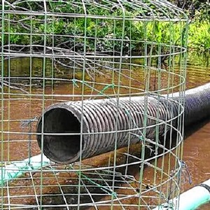 Concord Monitor - City tries 'beaver scam' to prevent flooding at Mine Falls