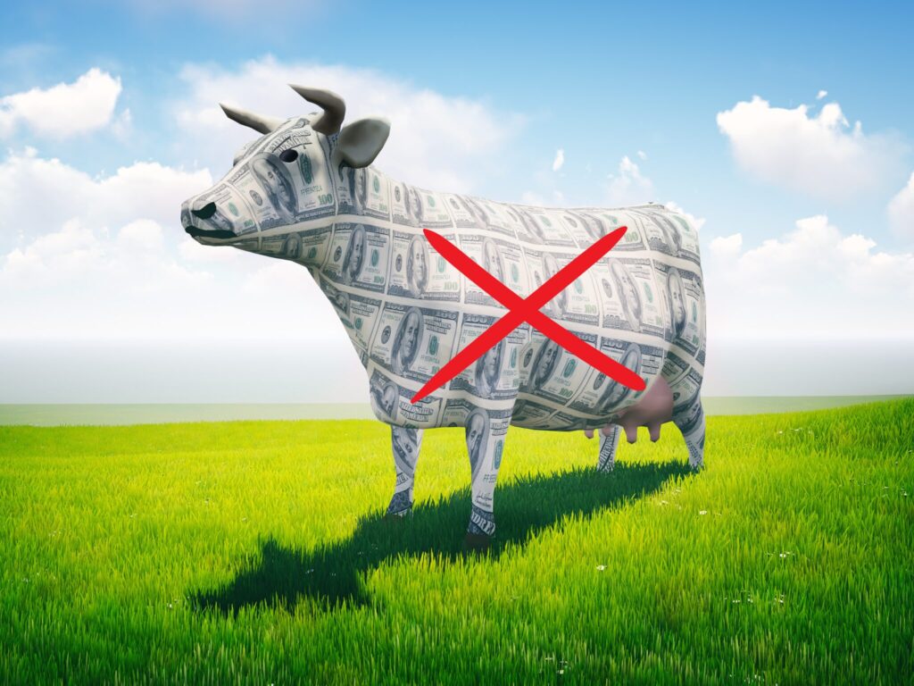 World Bank meat subsidies