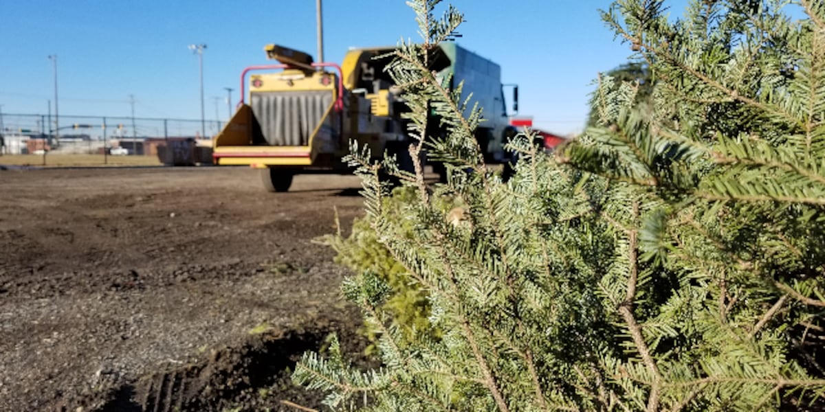 Henrico offers free, eco-friendly Christmas tree recycling