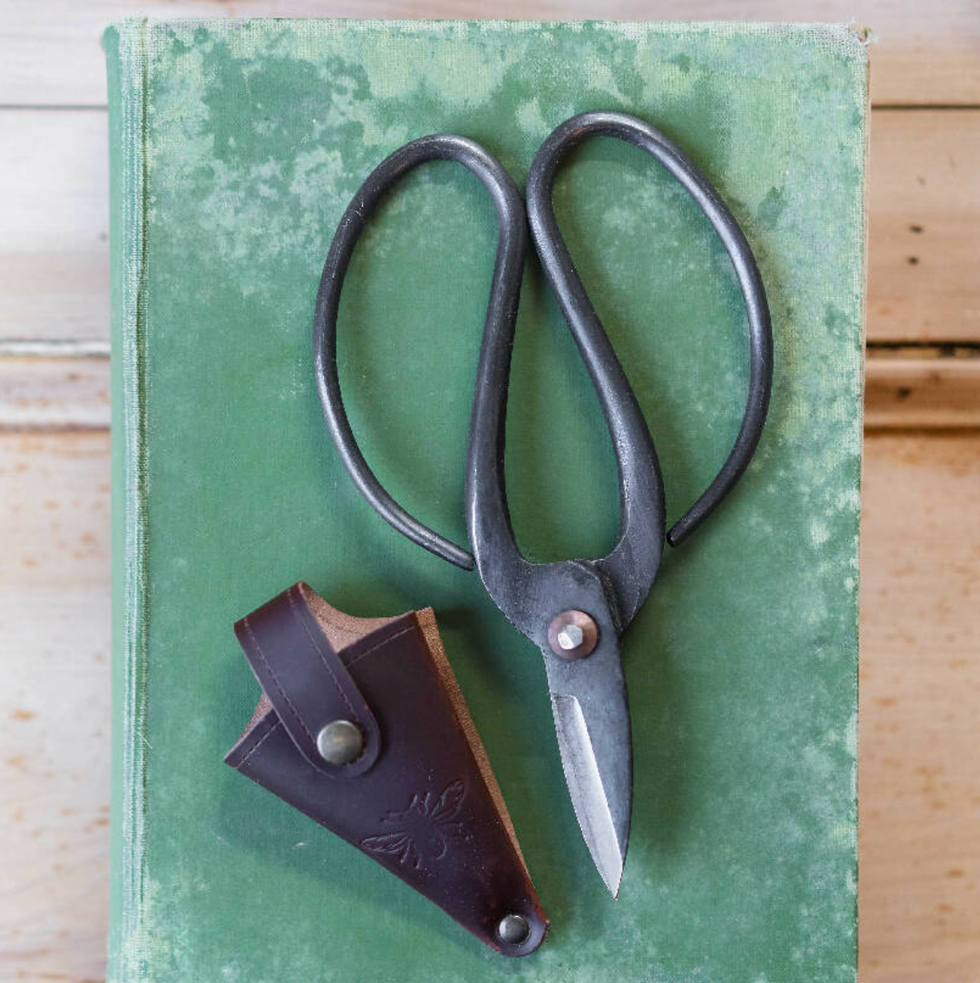 Large secateurs in a leather holder