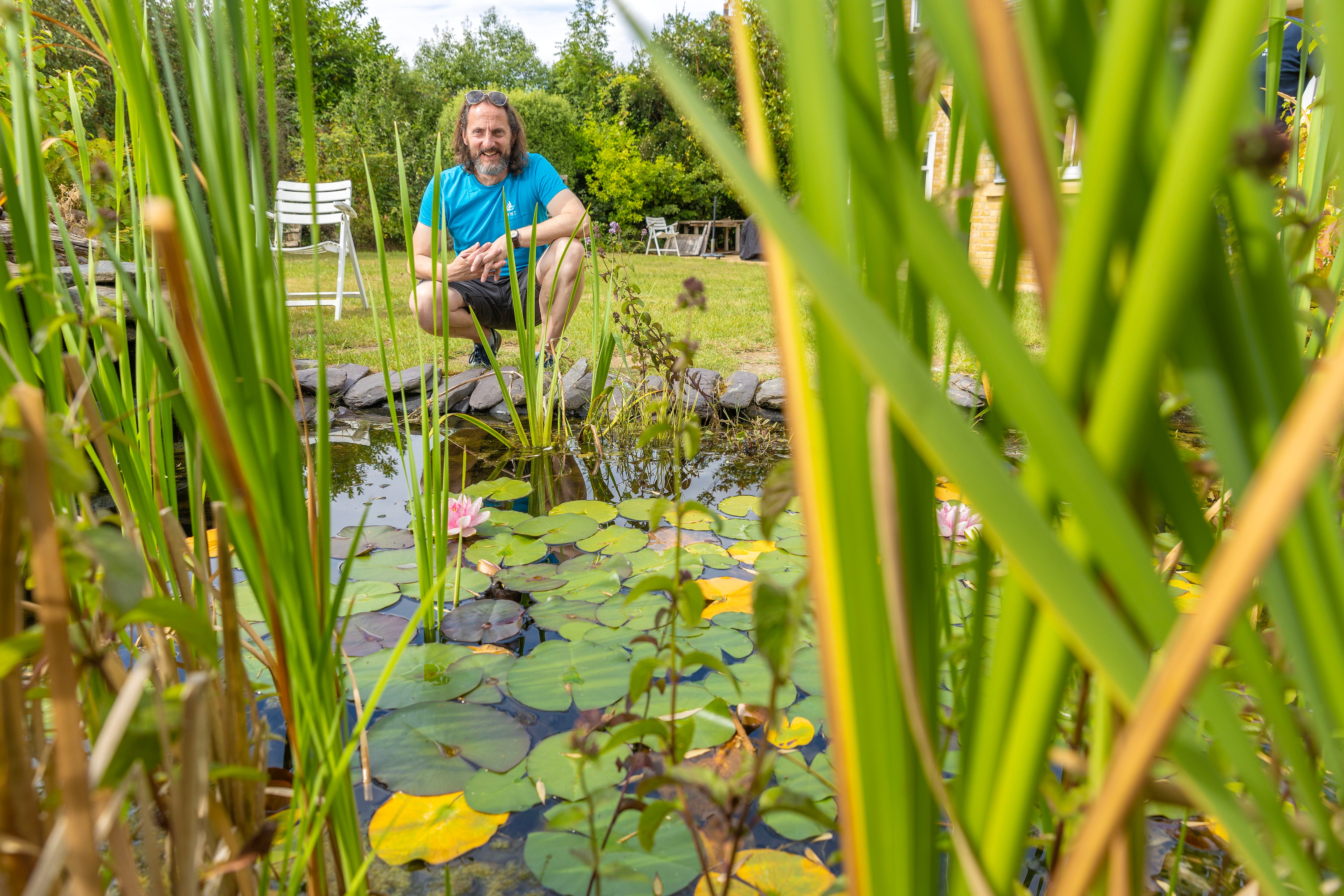 You definitely shouldn't add fish to your pond, says Oliver