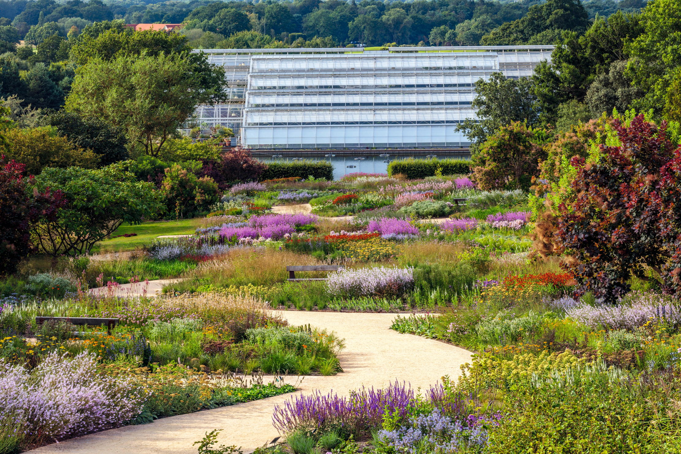 Rip it up and start again: RHS Wisley's daring reinvention of one of its most famous plantings