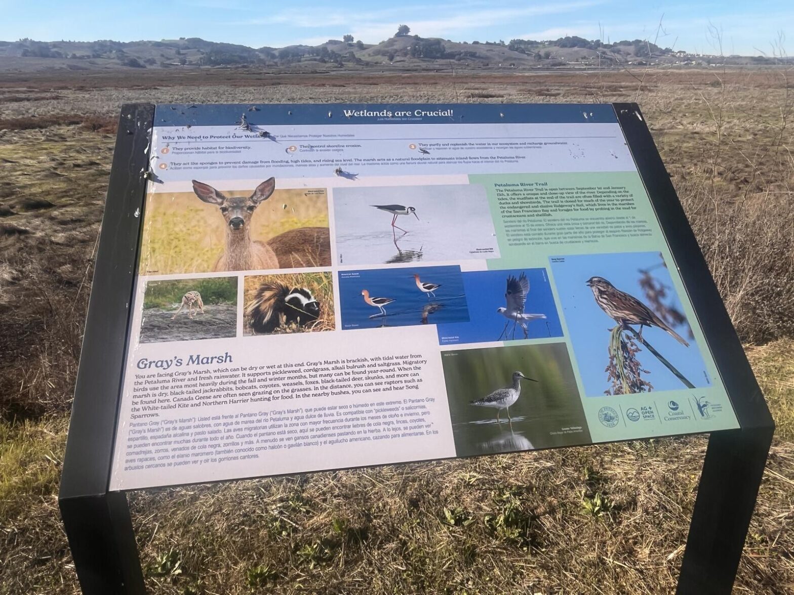 Signs and Wonders at Ellis Creek in Petaluma