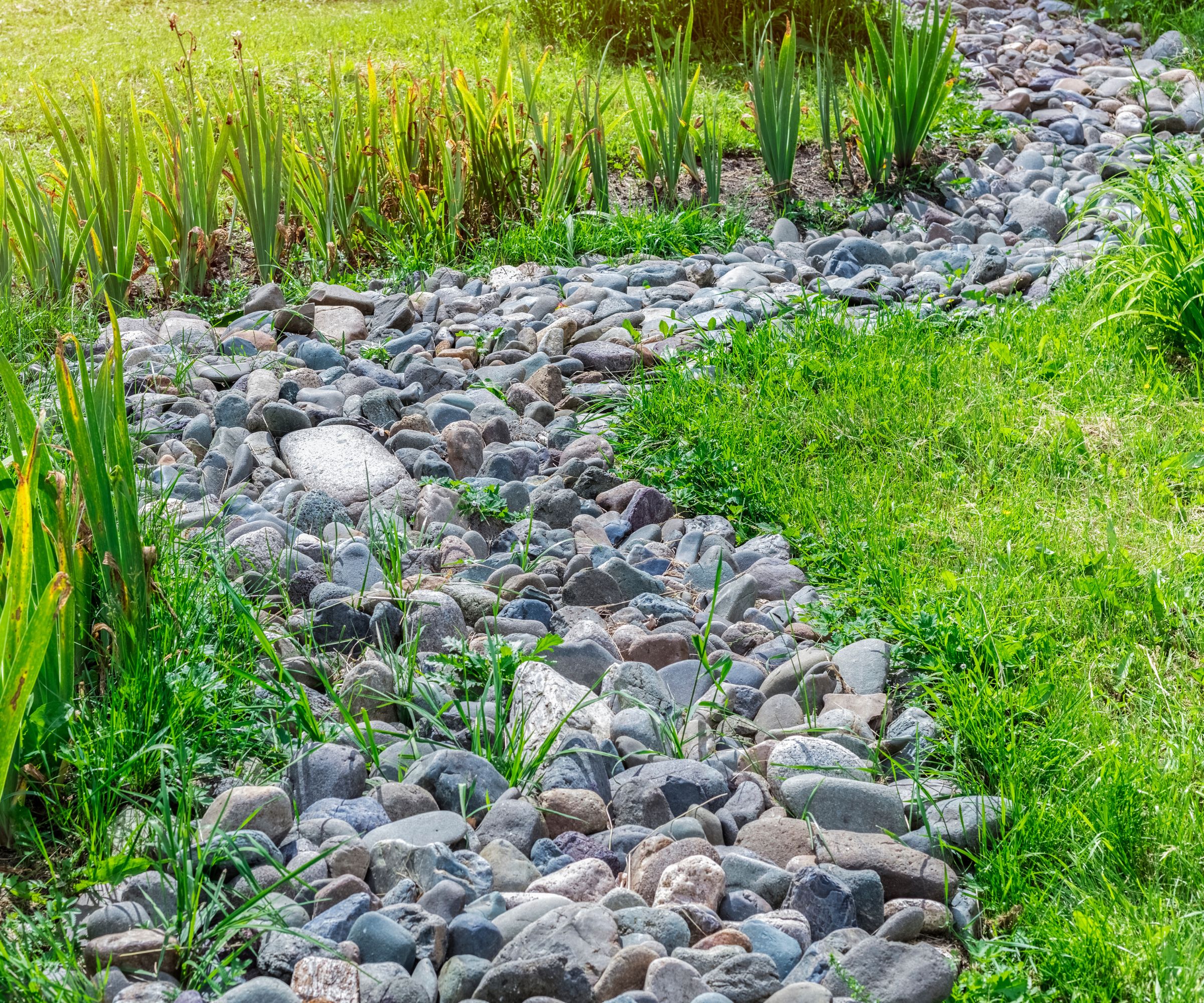 A dry stream