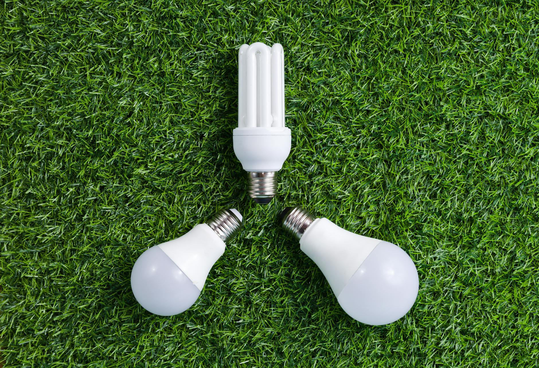 White light bulbs on green grass