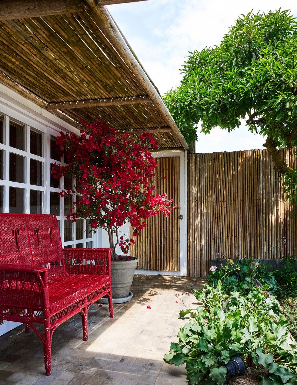 a red chair in front of a house with a tree in the background