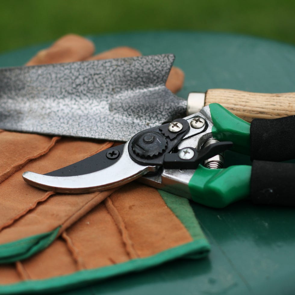 Close-up of gardening gloves and tools on a stool in the garden. Please view more of my garden photos