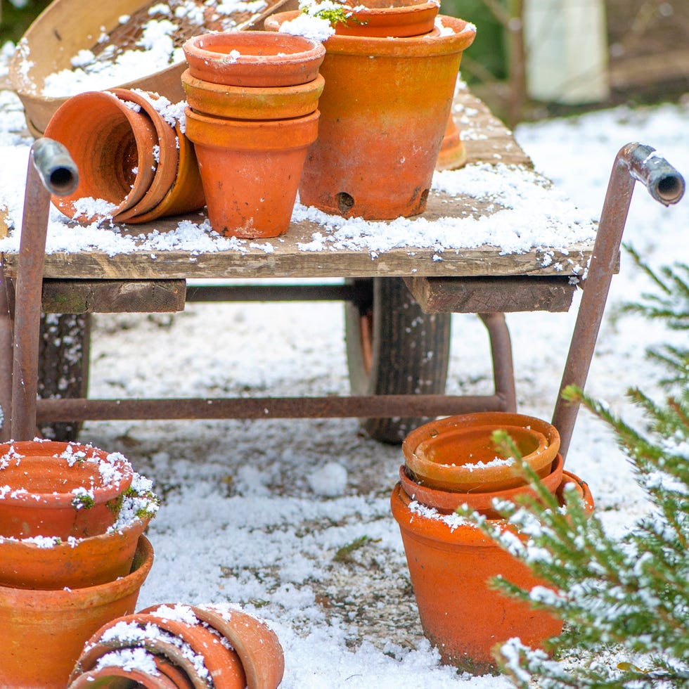 Terracotta pots for the garden