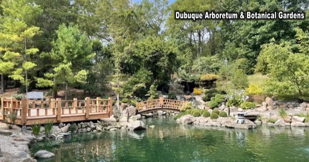 Dubuque Arboretum and Botanical Garden raise money to upgrade Koi fish pond | Dubuque