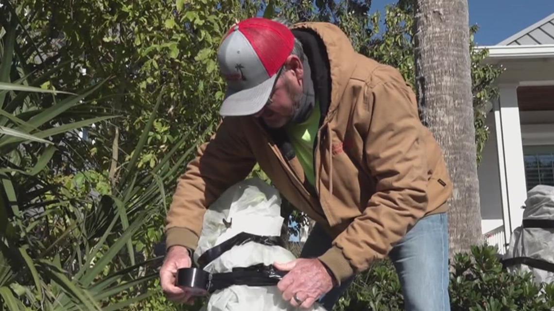 The Aransas Pass landscaping company is preparing homeowners for the upcoming freeze