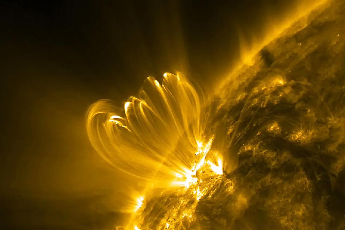 NASA has just found the secret warning of the sun of massive solar flars