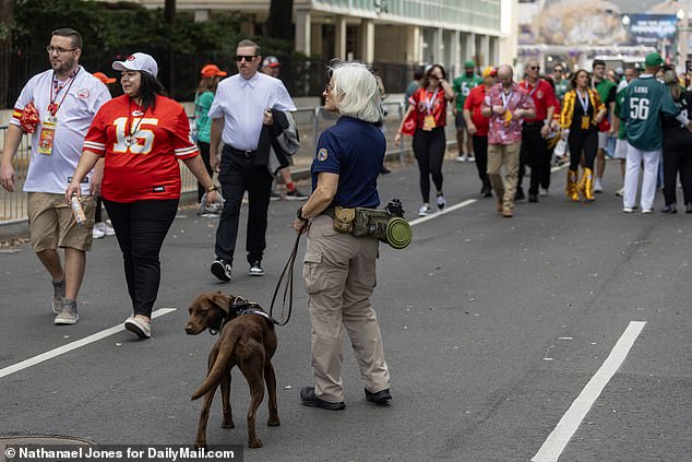 Sniffer dogs worked hard on the scope of the stadium in New Orleans