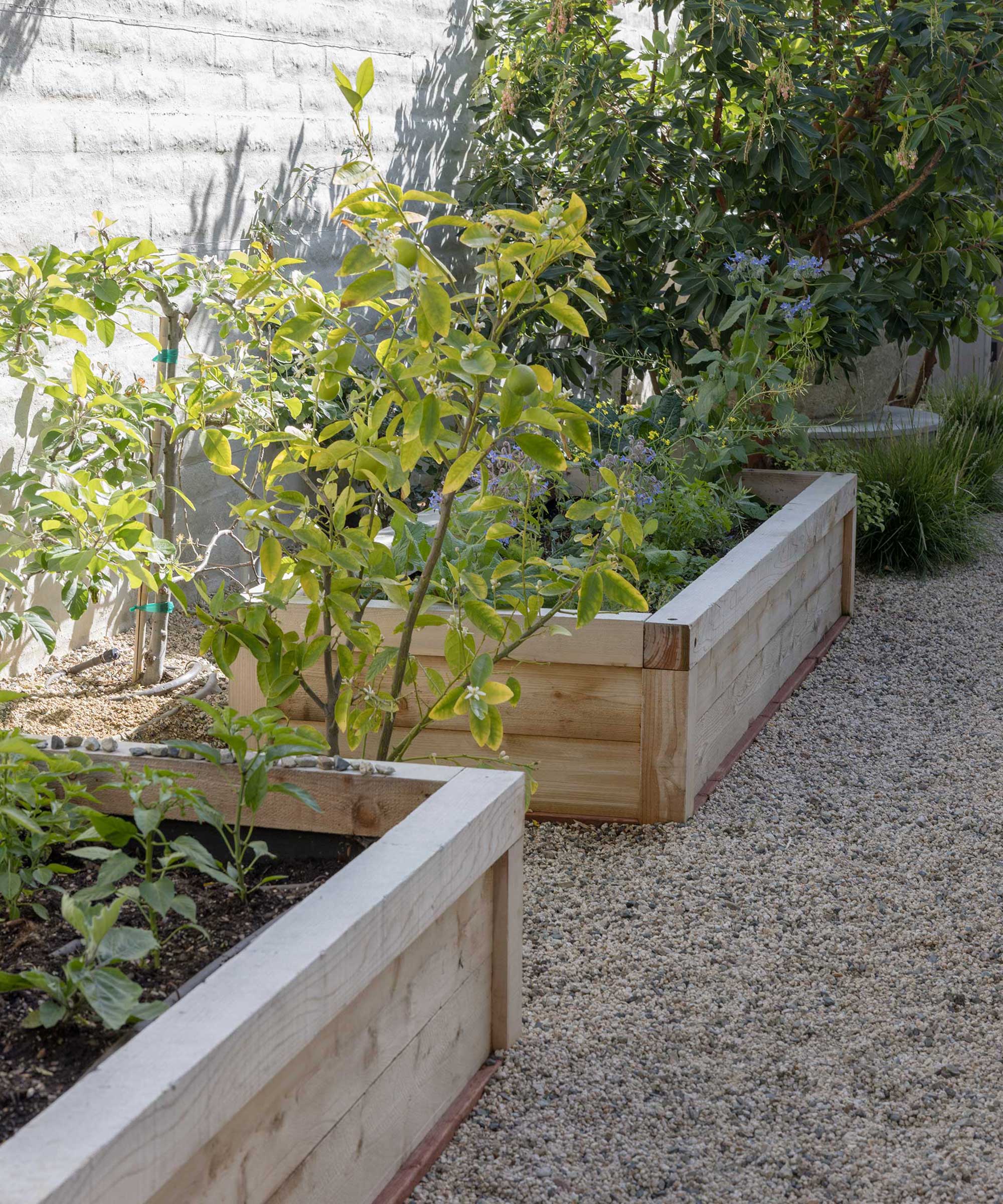 Increased garden beds in the quiet Cove project from Garden Studio Design