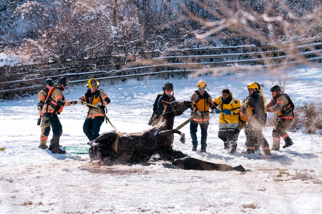 Loveland Fire Crews save horse in frozen pond-loveland reporter-herald