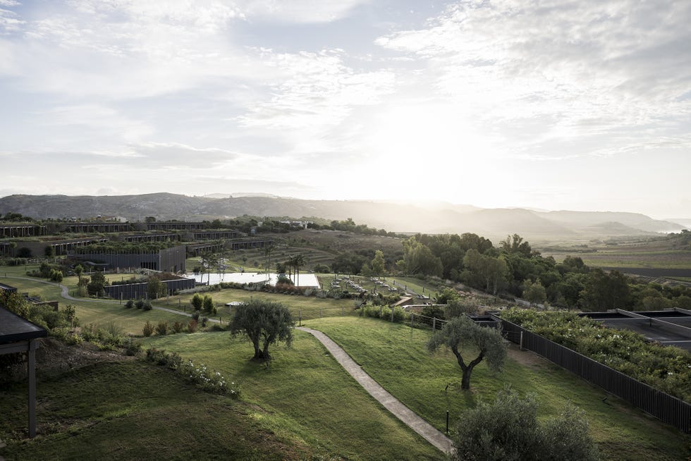 Adler, Sicily