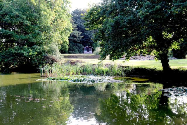 Ponds in the Lime Park Museum in around Monceux