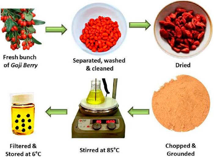 Process flow of the production of extract.  