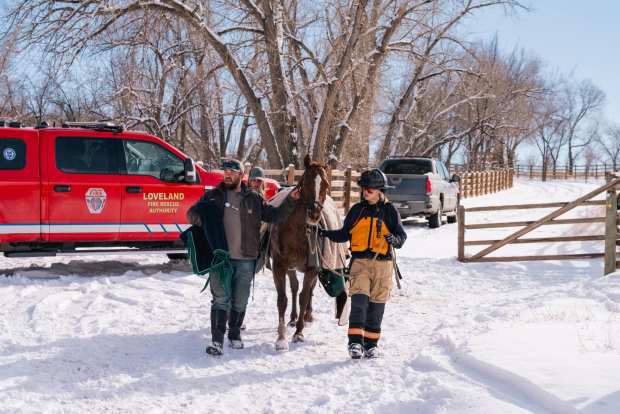 Loveland Fire Rescue Authority Firefighters and Ranch employees lead a saved horse to safety after it fell out of the water on Sunday, February 18, 2024, on a frozen pond on the Sylvan Dale guest ranch west of Loveland , before it is heated with blankets and heaters. (With the kind permission of Mitchell Ward, Loveland Fire Rescue Authority)