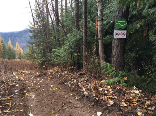 Salmo Council to discuss the fund allocation for Walking Trail Solar Lights - Nelson News