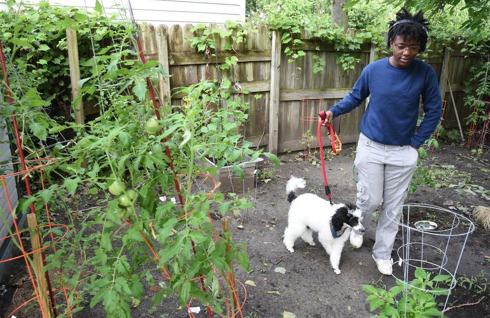 The then 17-year-old Ny Kershaw and his service dog, a 16-week-old poodle called Keita at the time, are shown in her vegetable garden in Carleton last summer. It is time to think about the 2025 garden season.