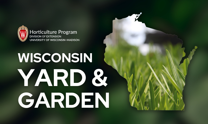 Wisconsin Yard & Garden: prepare for a healthy lawn in 2025