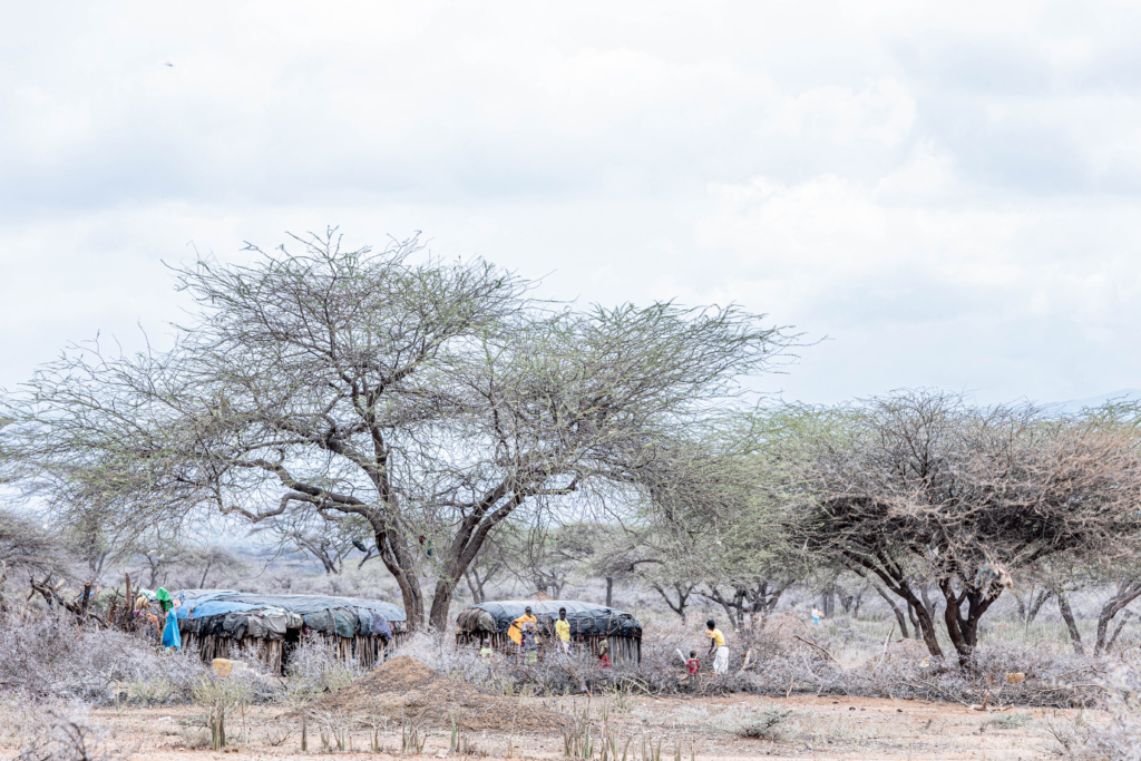 In the shadow of Mount Nyiro