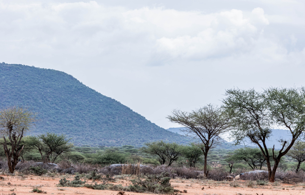 In the shadow of Mount Nyiro