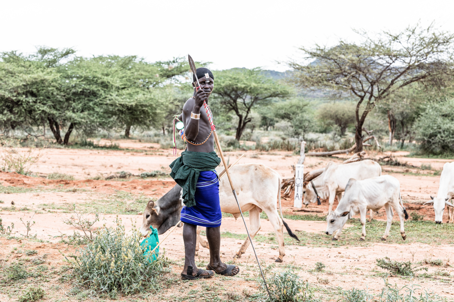 In the shadow of Mount Nyiro