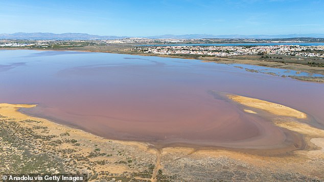 The Rosa Salzseen in the city of Torrevieja near Alicante on February 26, 2025