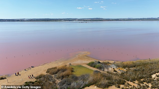 The lakes are rotated pink by algae and bacteria in the salty waters