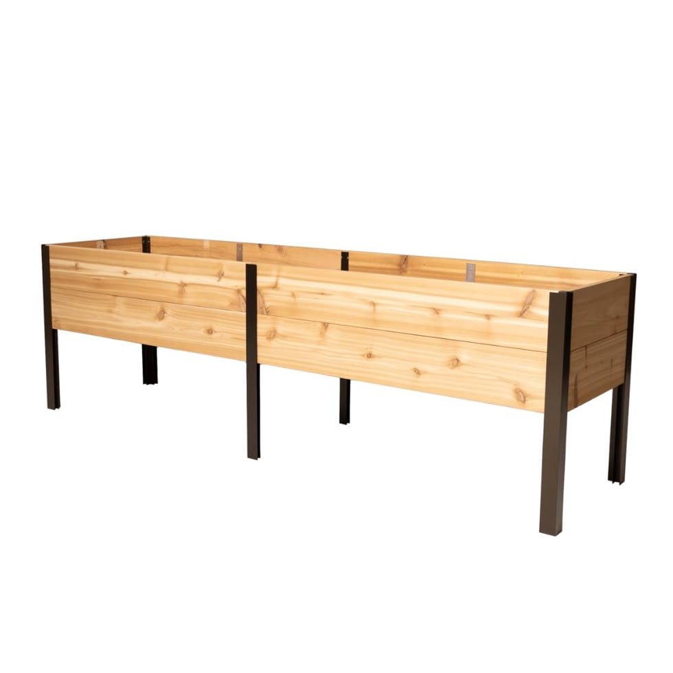 Increased cedar garden bed Increased cedar garden bed