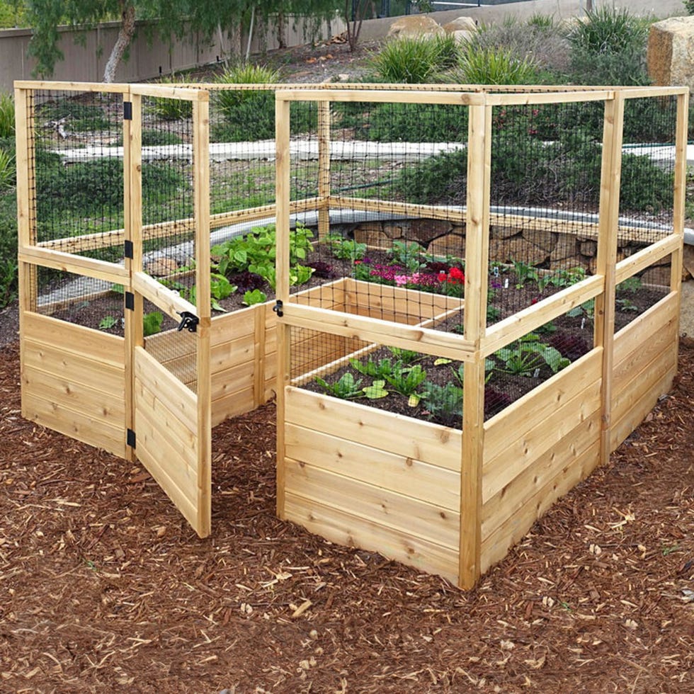 Hirsch -Proof cedar increased garden bed kits Hirsch -Proof cedar increased garden bed kits