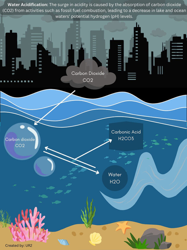 Alpena Ur2 partner with NOAA to the acidification project | News, sports, jobs