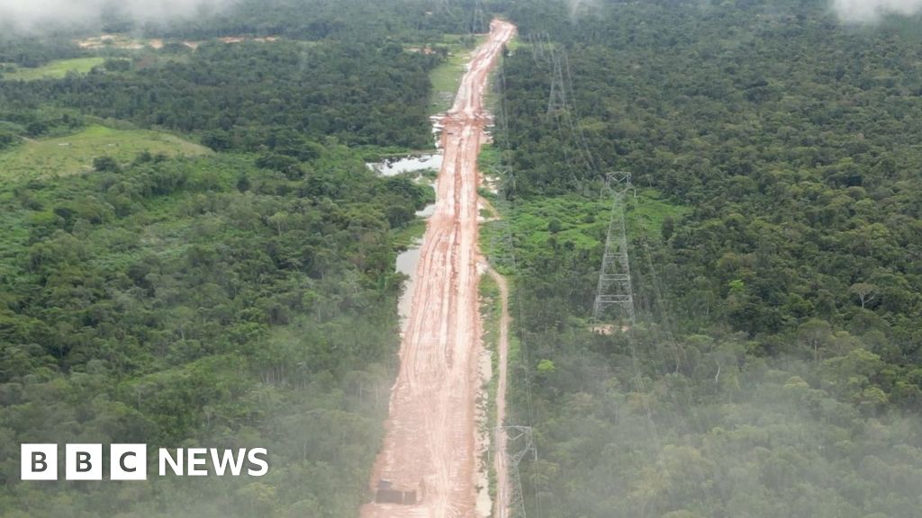 Amazon Rainforest cut off to build the motorway for the cop climate summit