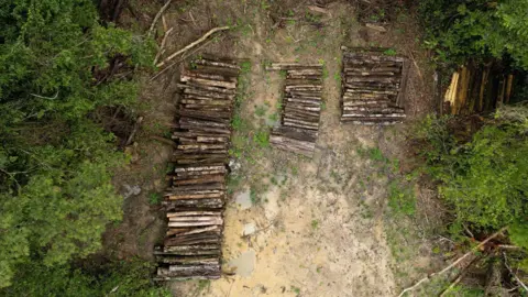 BBC / Paulo Koba Drone film material shows protocols in the Amazon rainforest.