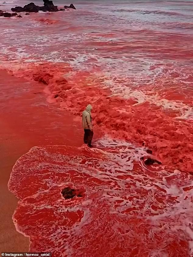 Image: Bizarre 'blood rain' phenomenon sees the landscape washed red by severe falls