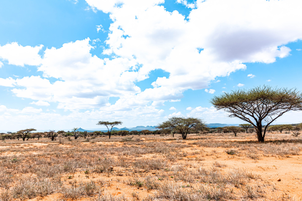 In the shadow of Mount Nyiro