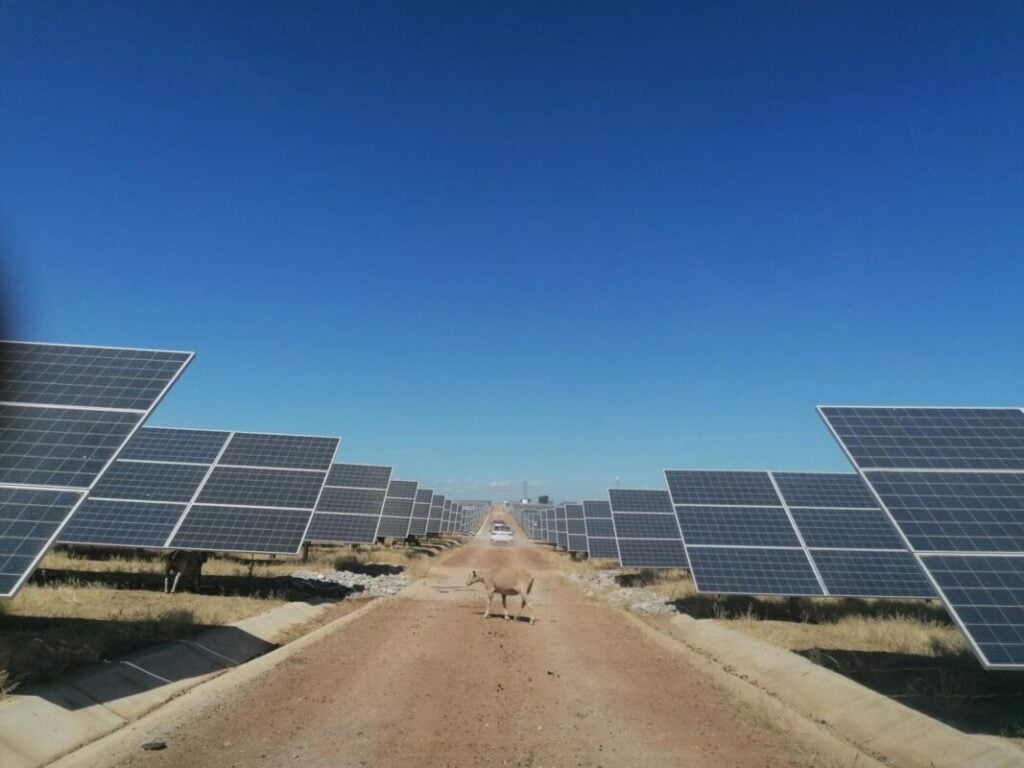 Korkia sells the solar and storage project for the construction of NPUK to NPUK