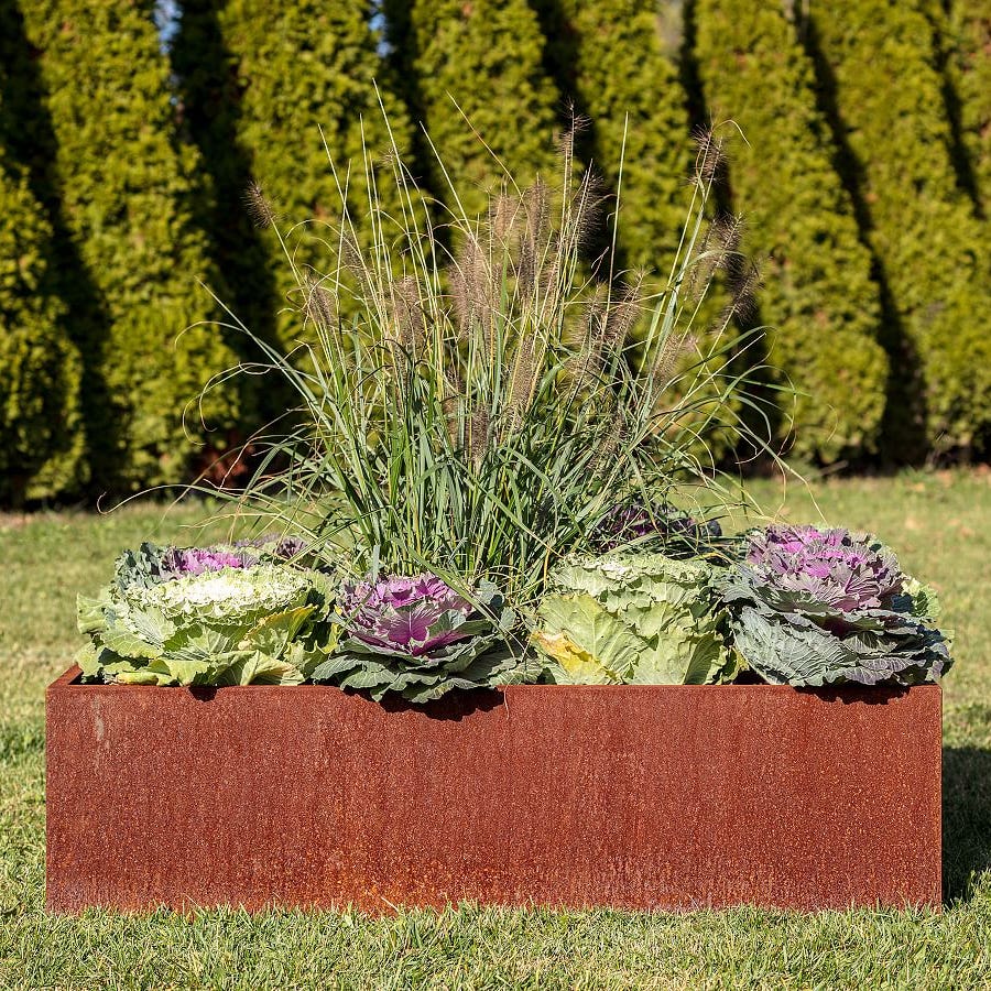The Corten steel garden bed The Corten steel garden bed