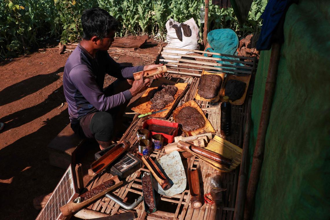 This photo, which was taken on February 11, 2025, shows a displaced inhabitant, which for their livelihood in the fighting between Myanmar's military and KNDF (Karenni Nationality Defense Force) in Pekon Township, on the border between Myanmar's military and karen of the state of Karen and the US state of Karen and the southern state of Karen and the southern state of Karen and the southern State of Karen and the southern state of Karen and Southern Shan State, for their livelihood for their livelihood. Myanmar in 2024 became the world's largest opium producer and received 1,080 tons of narcotics - more than twice as high as with former leaders Afghanistan. (Photo by AFP)