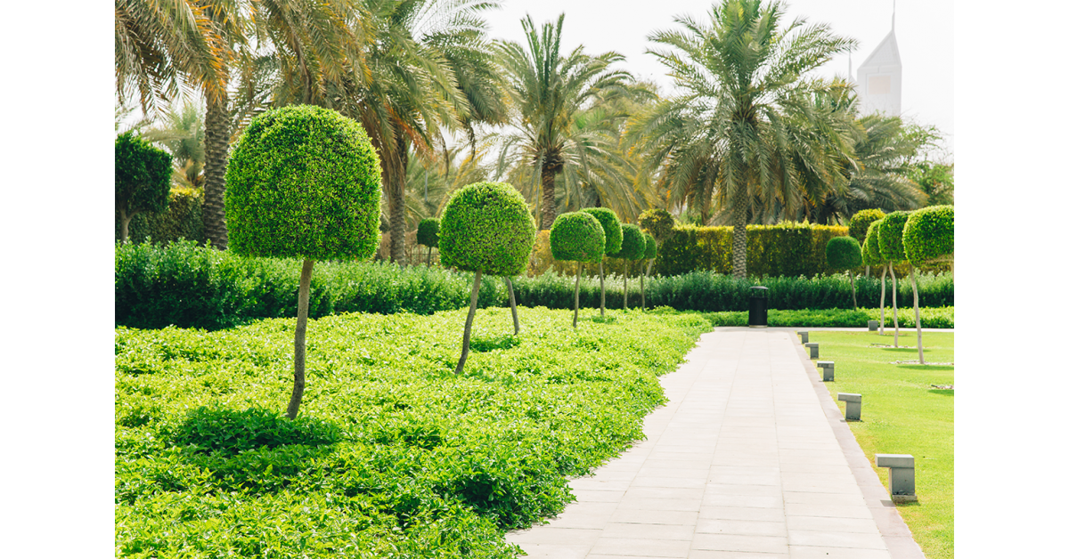 Expert landscape design that now change outdoor areas in north -utah