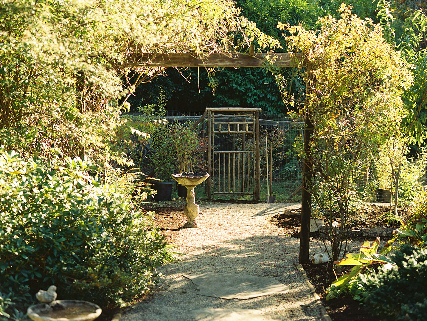 Garden Pathways