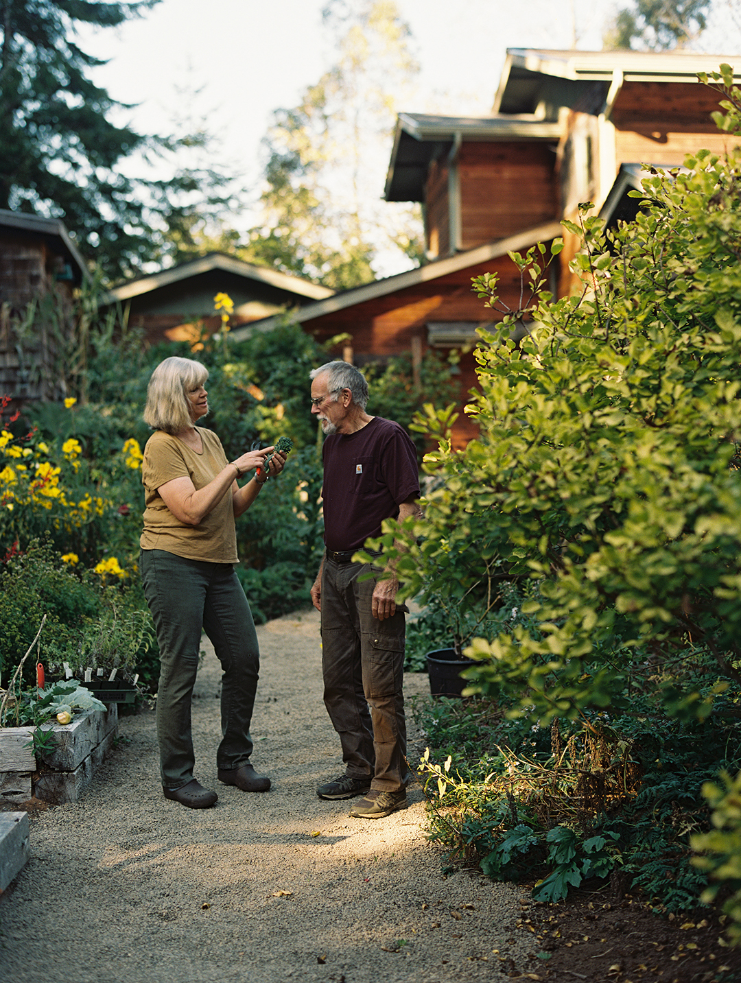 Couple who speaks in the garden