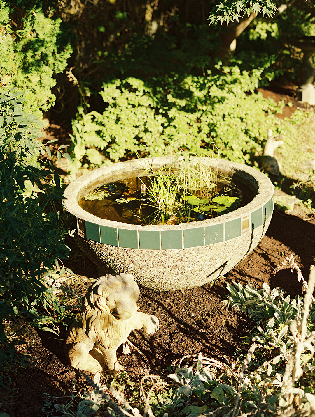 Fountain of water