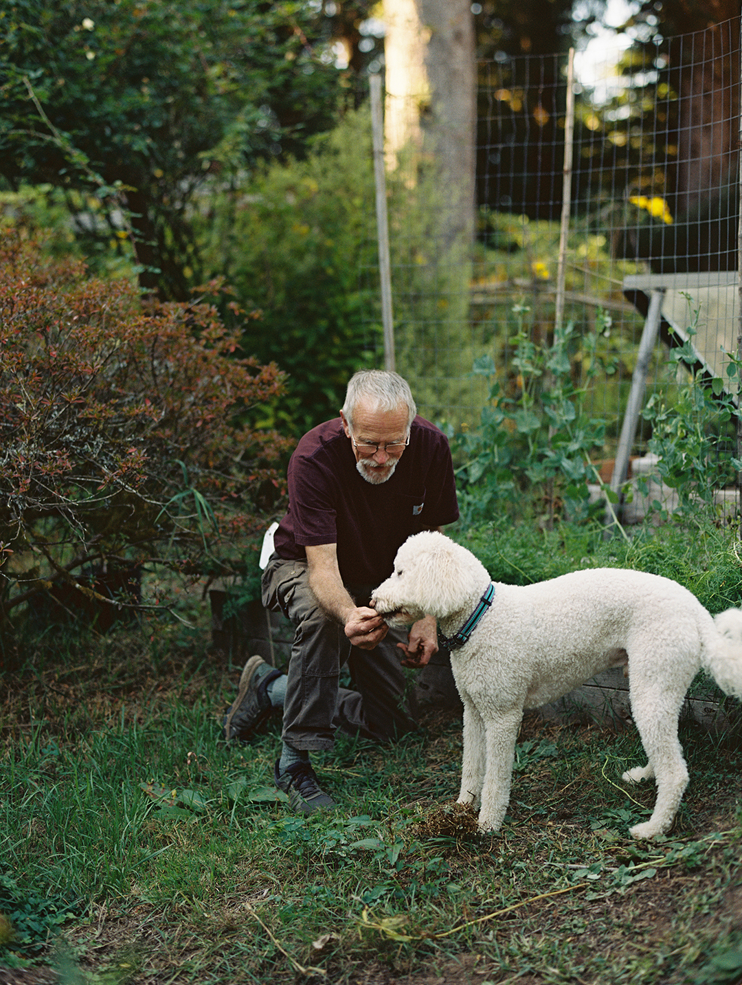 Man with dog