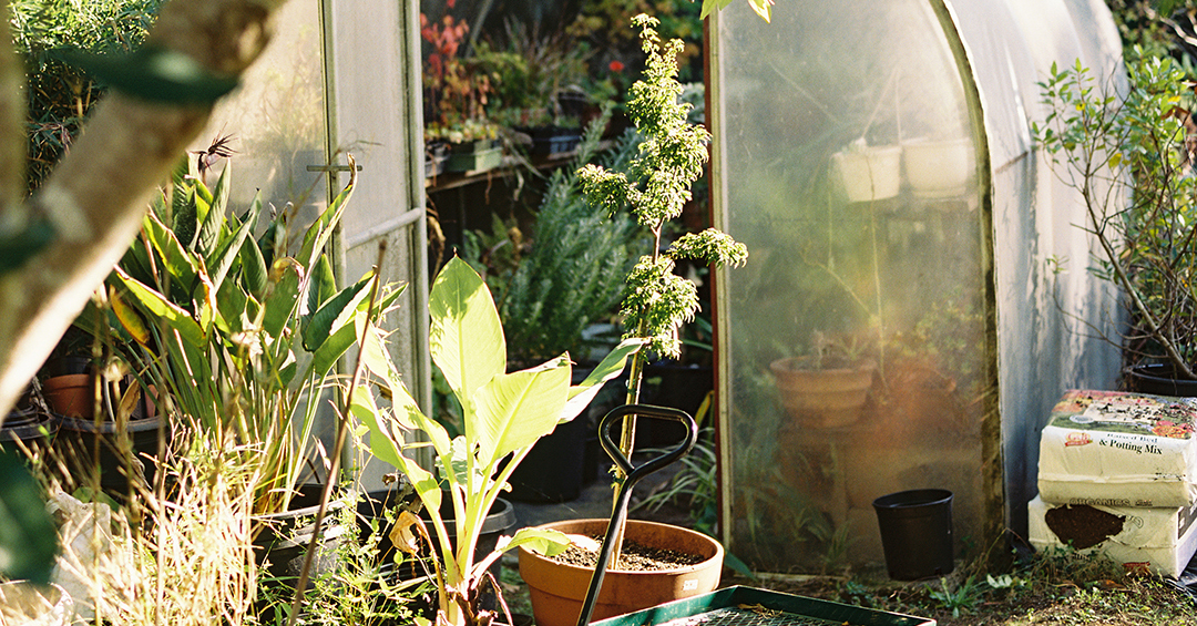 A landscape designer looks back on the success of her family's garden